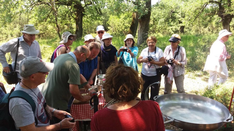28 natural history museum meteora mushroom museum.jpg
